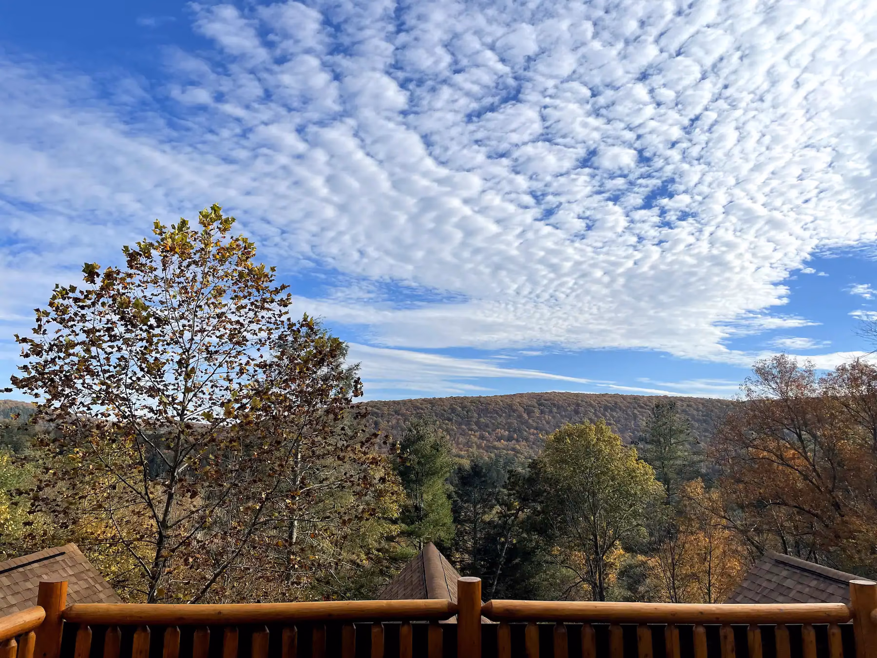 Mountain view from the cabin deck